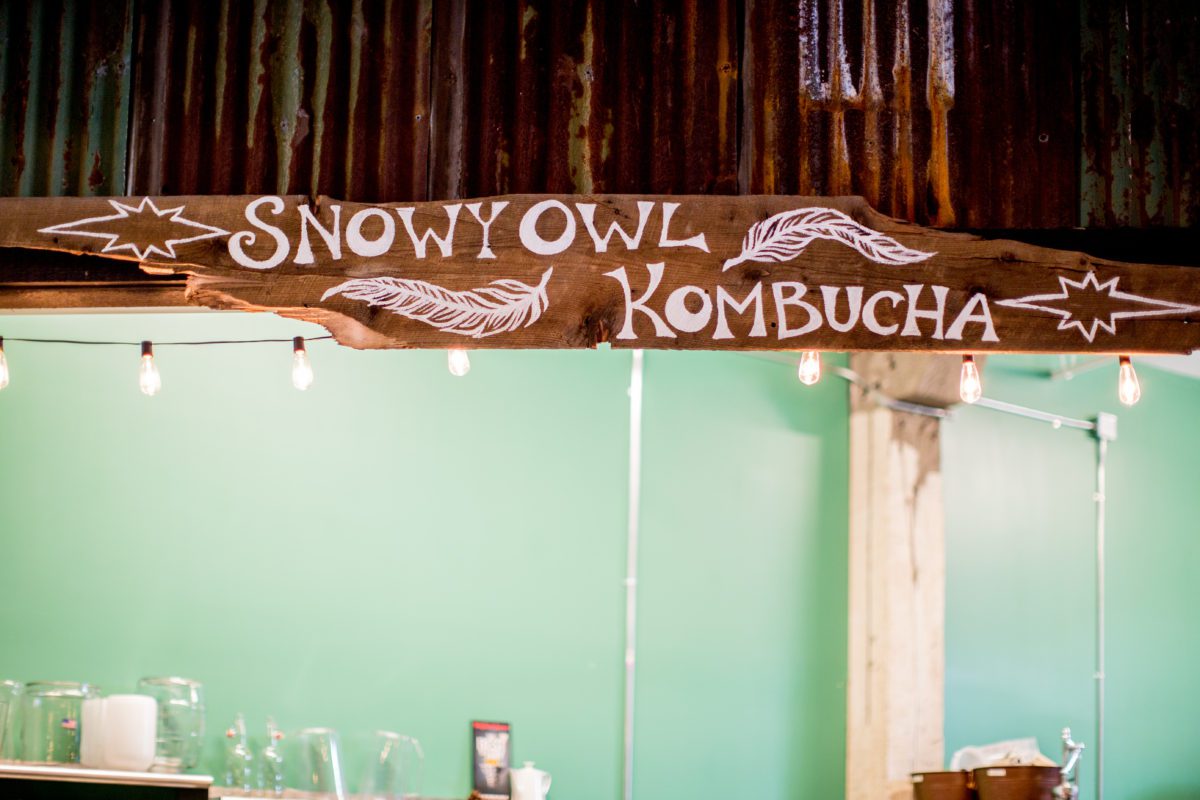 Snowy Owl Shop Sign